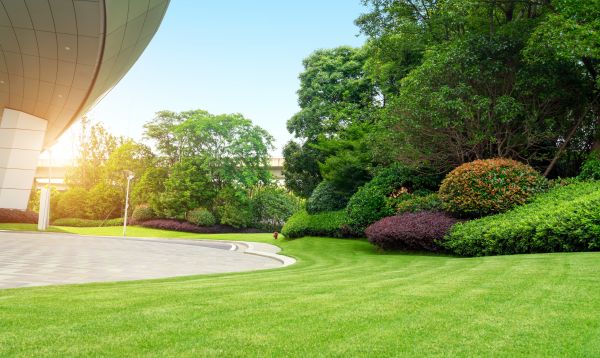 Commercial Lawn Care in Virginia Beach
