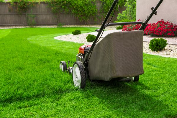Lawn Mowing in Virginia Beach