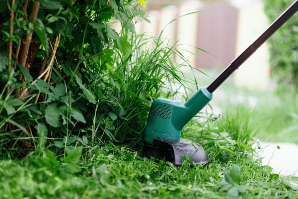 Weed Whacking in Virginia Beach