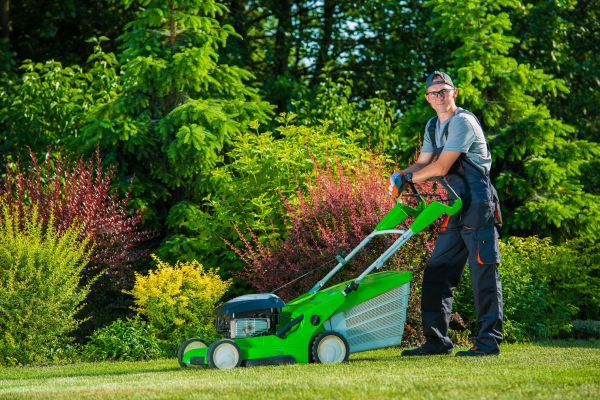 Yard Work Service in Virginia Beach