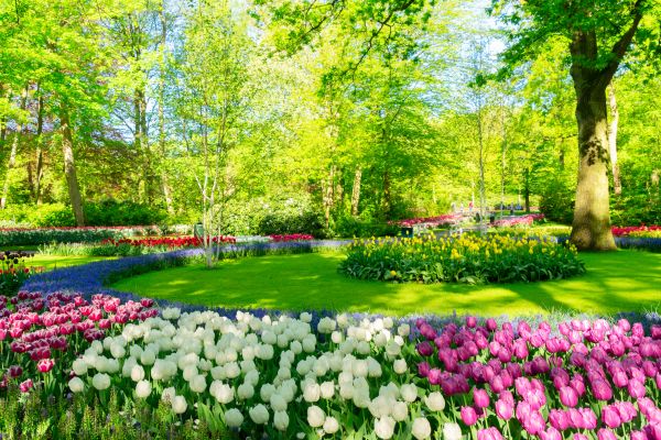 Spring Lawn Care in Virginia Beach