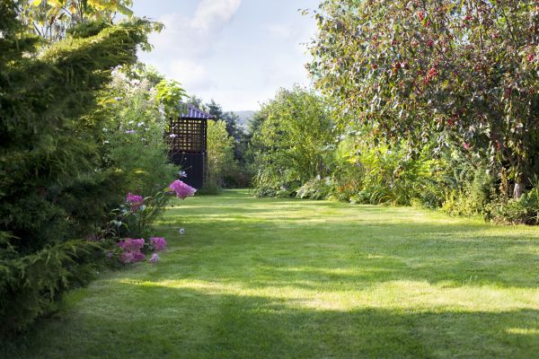 Yard Upkeep Service in Virginia Beach