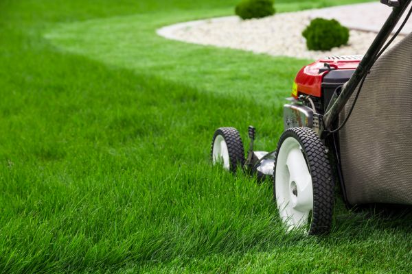 Lawn Service in Virginia Beach