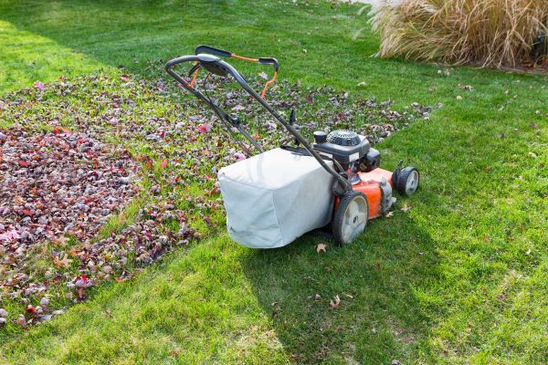 Seasonal Lawn Care in Virginia Beach