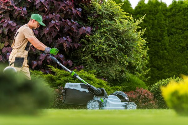 Lawn Management in Virginia Beach