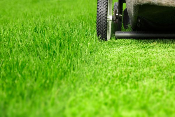 Weekly Lawn Care in Virginia Beach