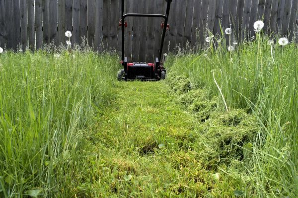 High Grass Mowing in Virginia Beach