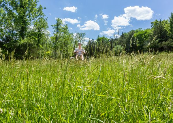 Long Grass Mowing in Virginia Beach