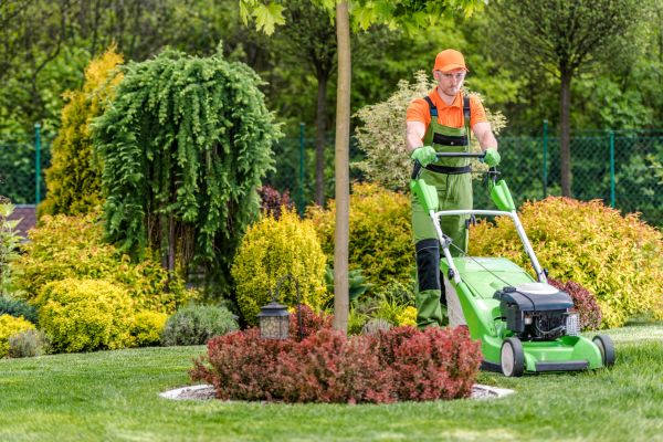 Commercial Yard Maintenance in Virginia Beach