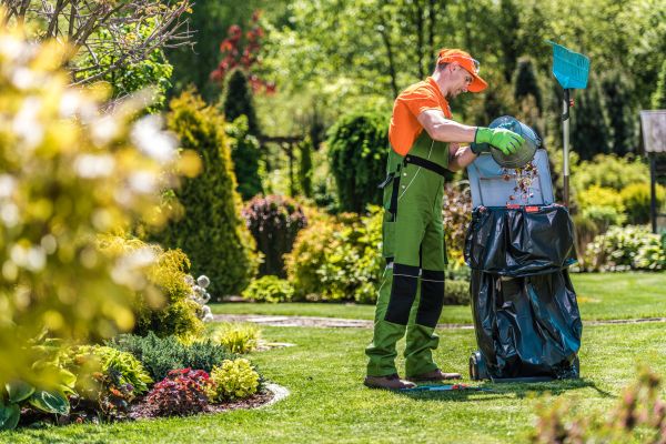 Lawn Cleaning Service in Virginia Beach