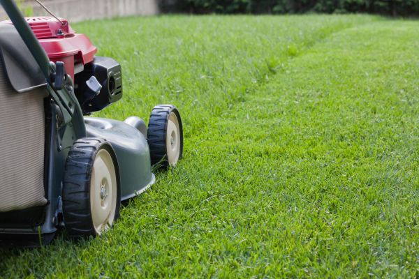 Summer Lawn Care in Virginia Beach