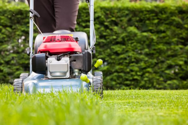 Grass Trimming Service in Virginia Beach