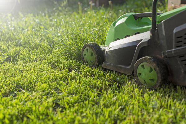 Lot Mowing in Virginia Beach