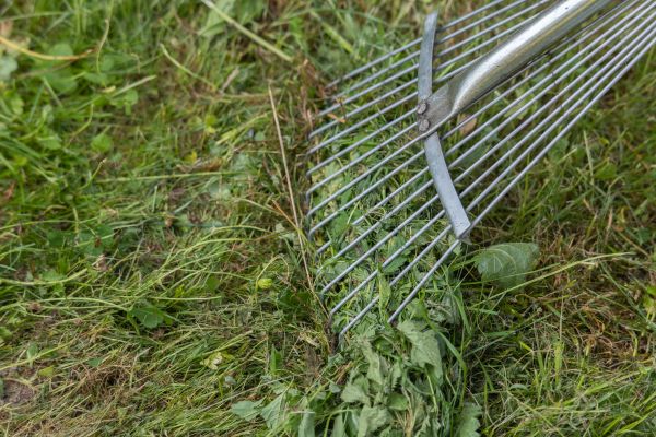 Thatch Raking in Virginia Beach