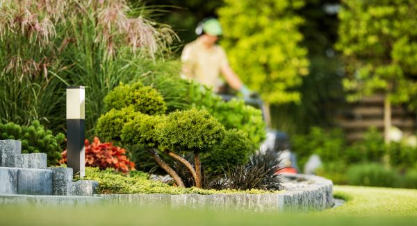 Residential Yard Maintenance in Virginia Beach