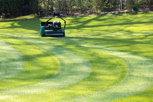 Business Lawn Mowing in Virginia Beach