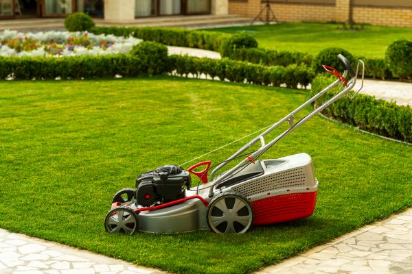 Business Grass Cutting in Virginia Beach
