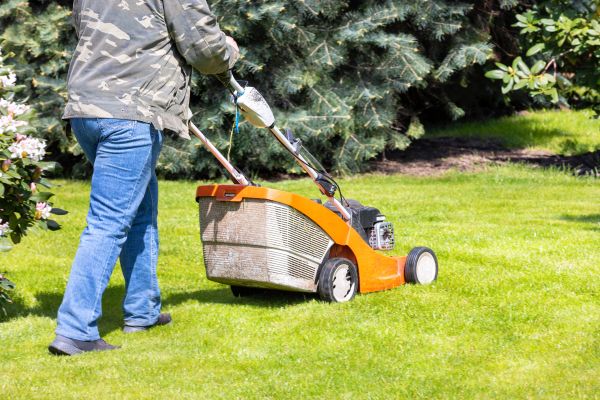 Springtime Lawn Care in Virginia Beach