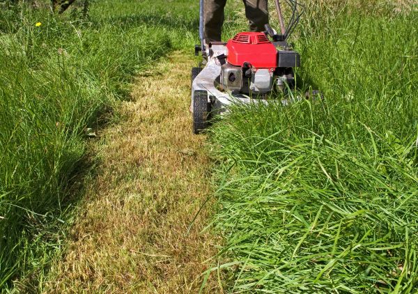 Leaf Mowing in Virginia Beach