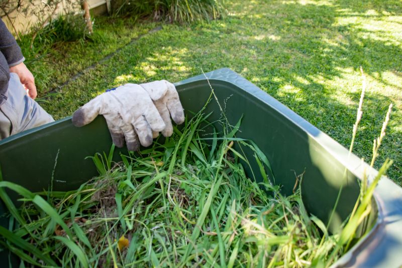 Grass Clippings Disposal